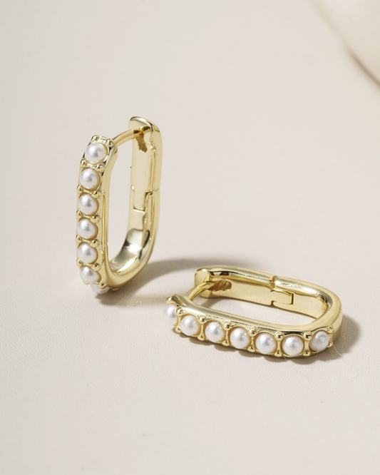 The Charleston Huggies