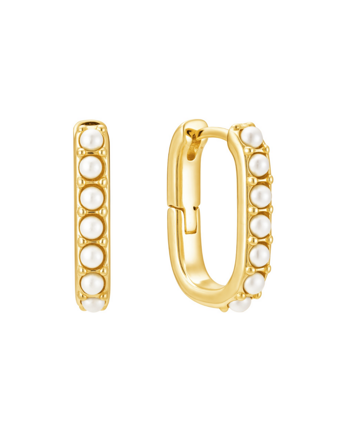 The Charleston Huggies