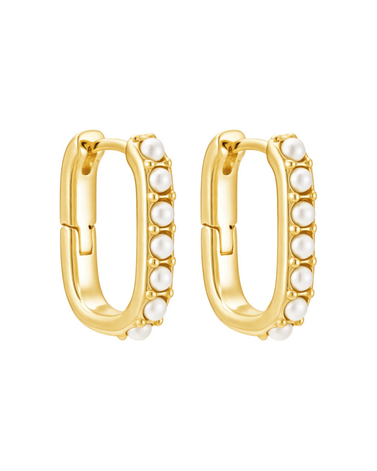 The Charleston Huggies