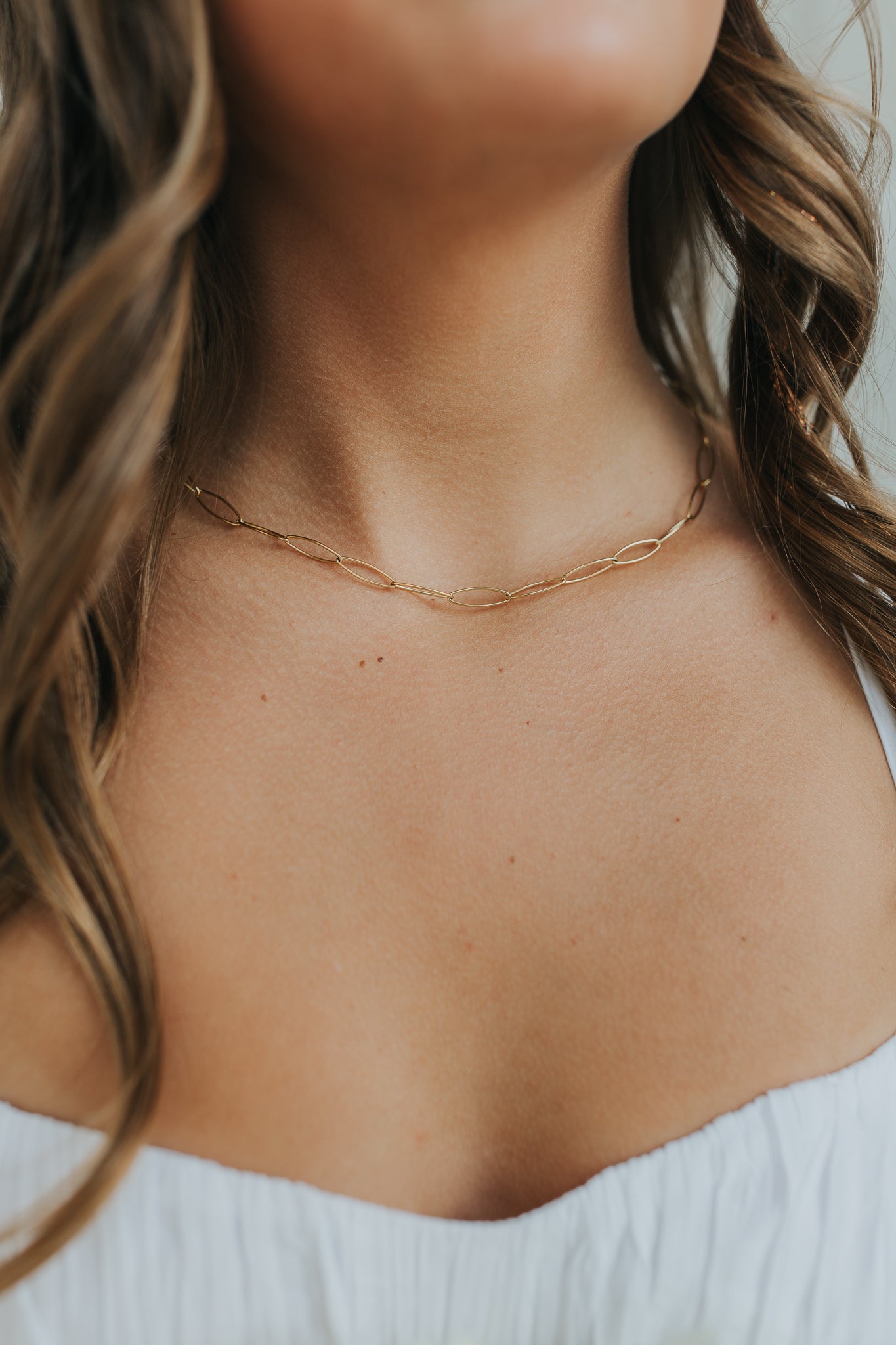 The Sophia Link Necklace